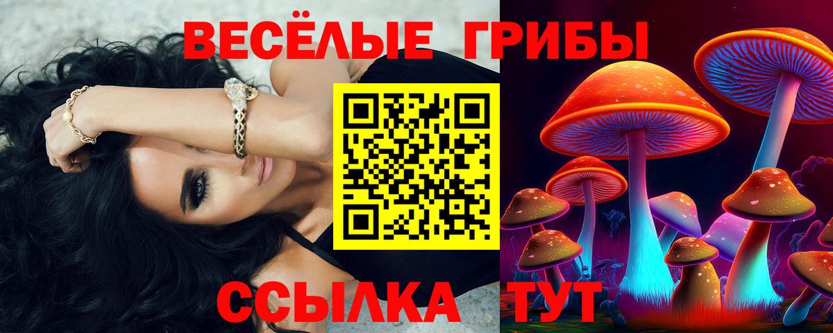 Орск  Псилоцибиновые грибы Psilocybe  Вход с VPN  Псилоцибиновые грибы Psilocybe 